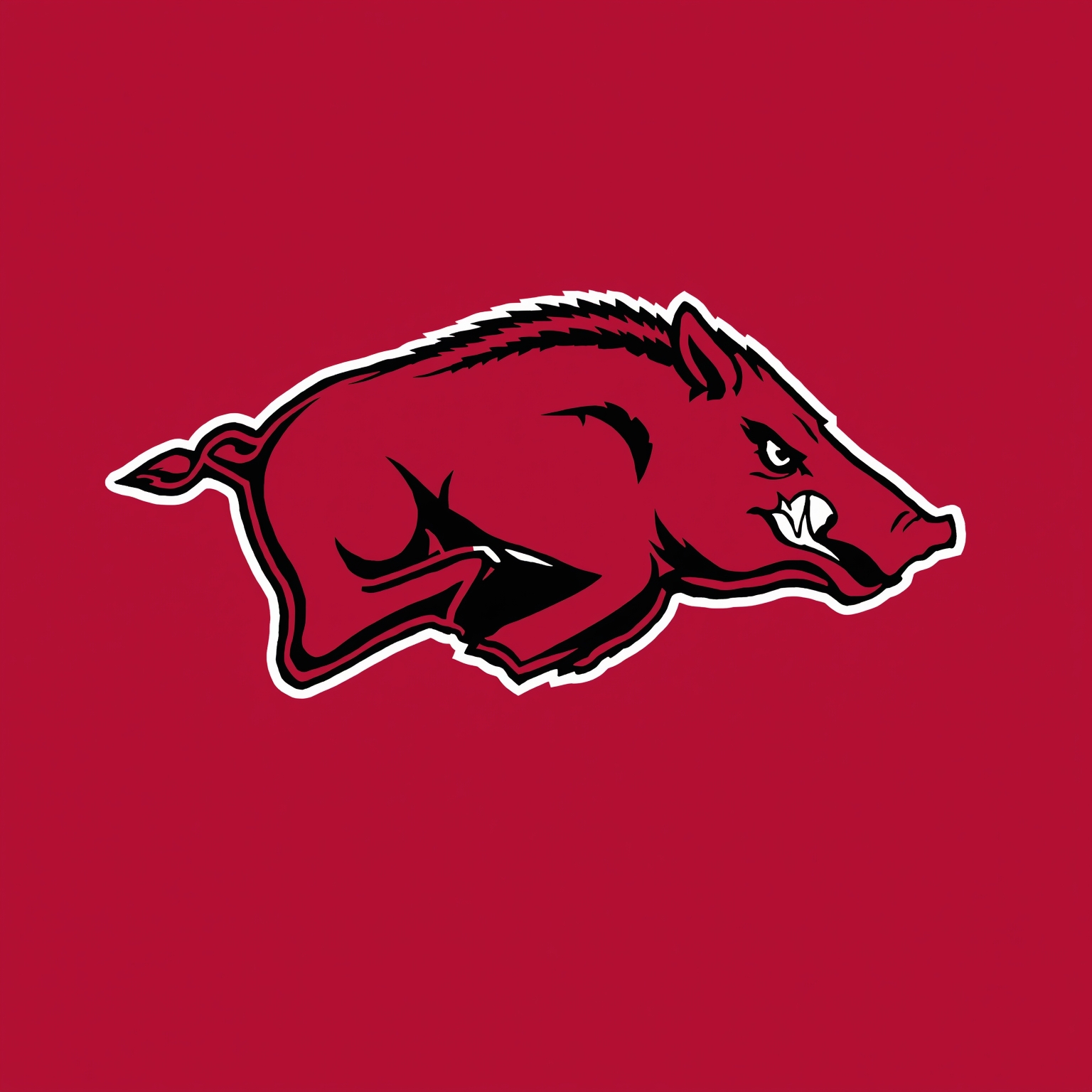 Arkansas Sports: From SEC Showdown to NFL Reboot - painting of Arkansas Razorbacks football, soccer venue