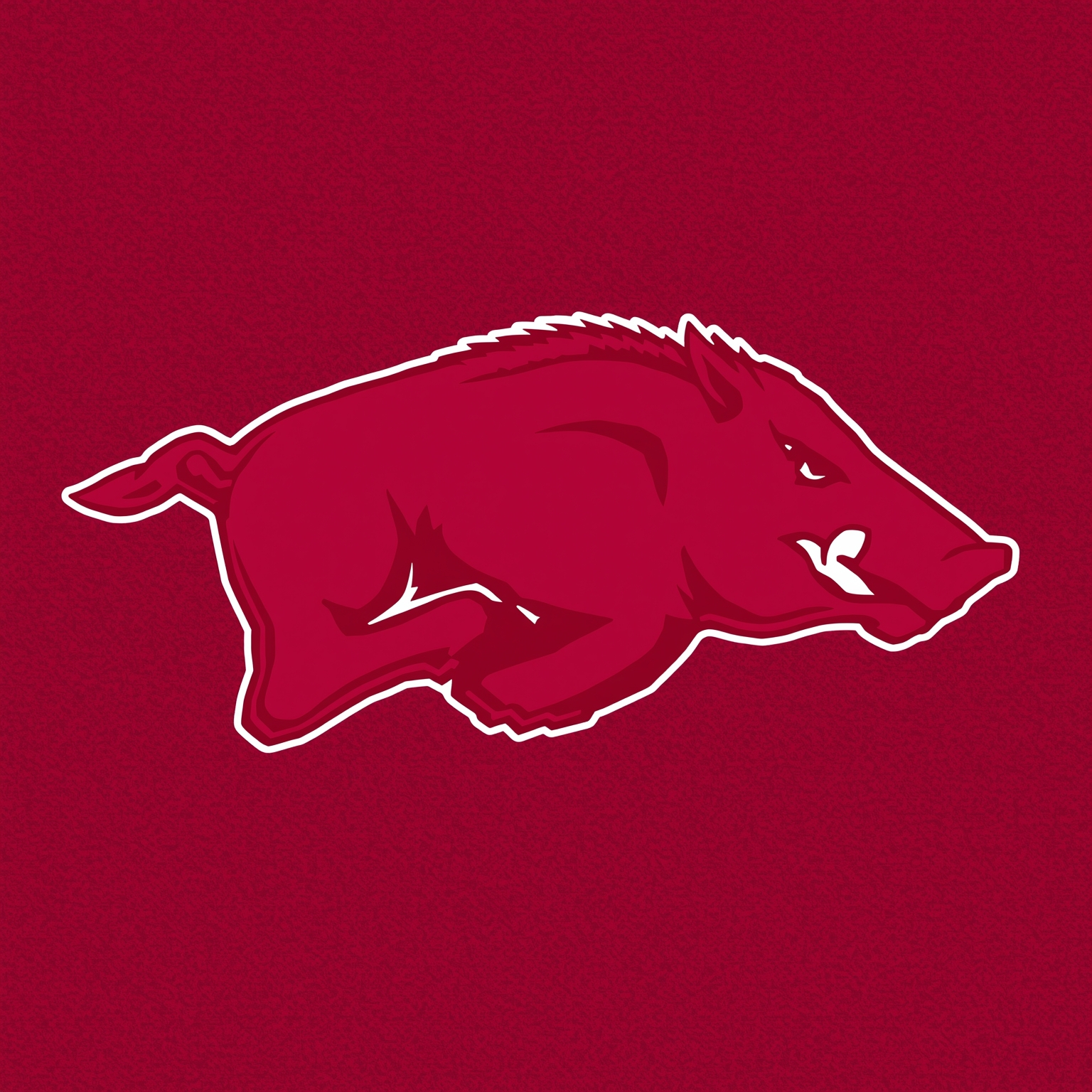 Razorback Redemption and Coaching Dramas Unleashed - painting of Arkansas Razorbacks football venue