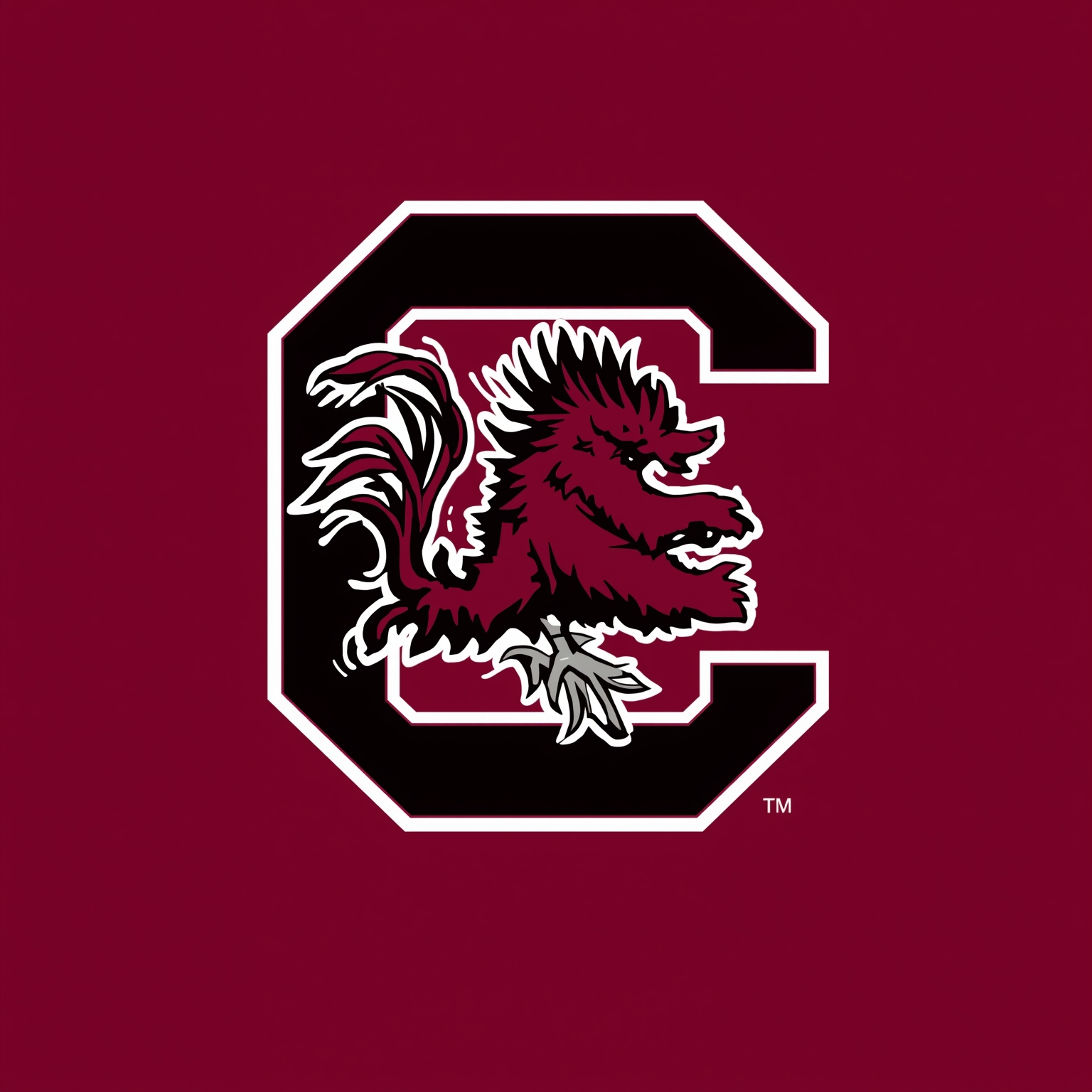 Gamecocks’ Underdog Strategy to Shock Ole Miss - painting of South Carolina Gamecocks football venue
