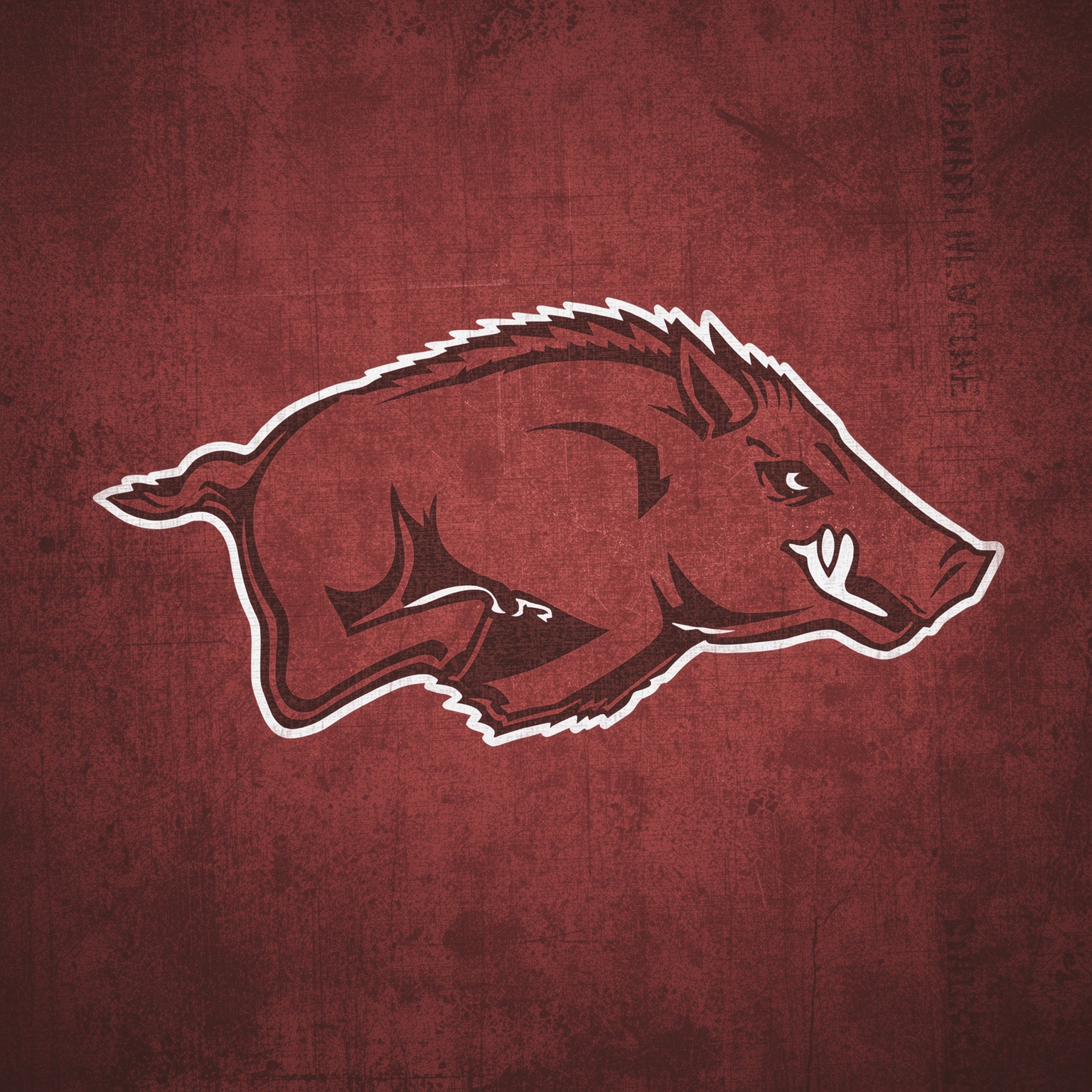 Arkansas Freshmen Dazzle in Debut, Critiqued by Calipari - painting of Arkansas Razorbacks basketball venue