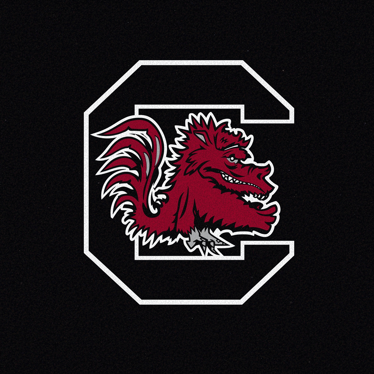 Gamecock Shake-Ups: A&M Preview and Furrey’s Play Calls - painting of South Carolina Gamecocks football venue