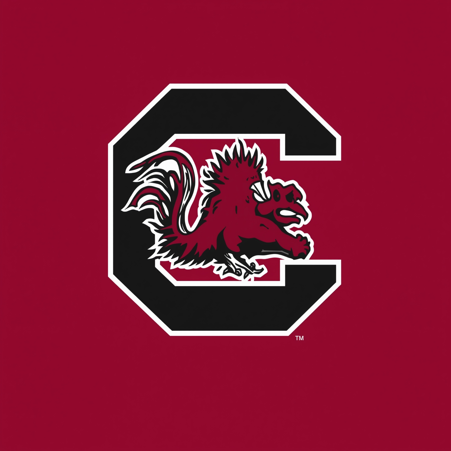 Aggies vs. Gamecocks: Run Game and Underdog Duel - painting of South Carolina Gamecocks football venue