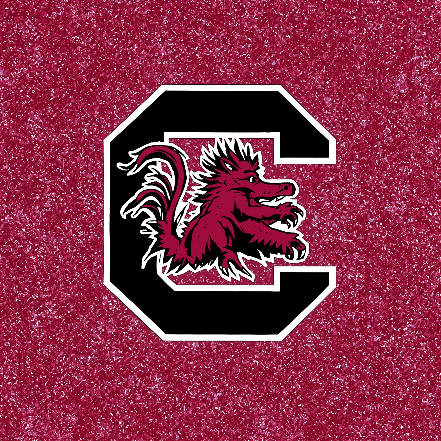 Gamecocks Rack Up Elite Recruits Across Court and Field - painting of South Carolina Gamecocks football, basketball venue