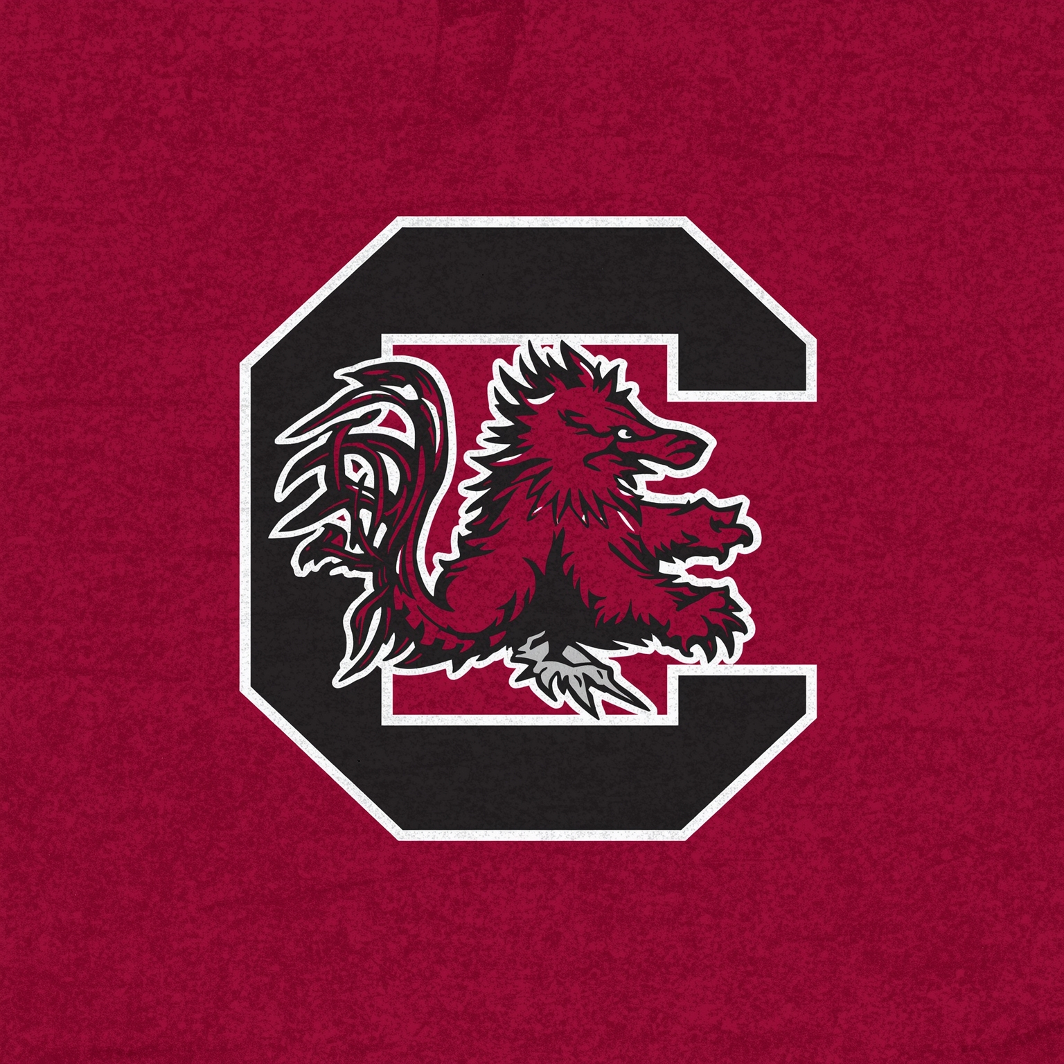 Gamecocks Offensive Overhaul: Firing Shula, Offensive Woes - painting of South Carolina Gamecocks football venue