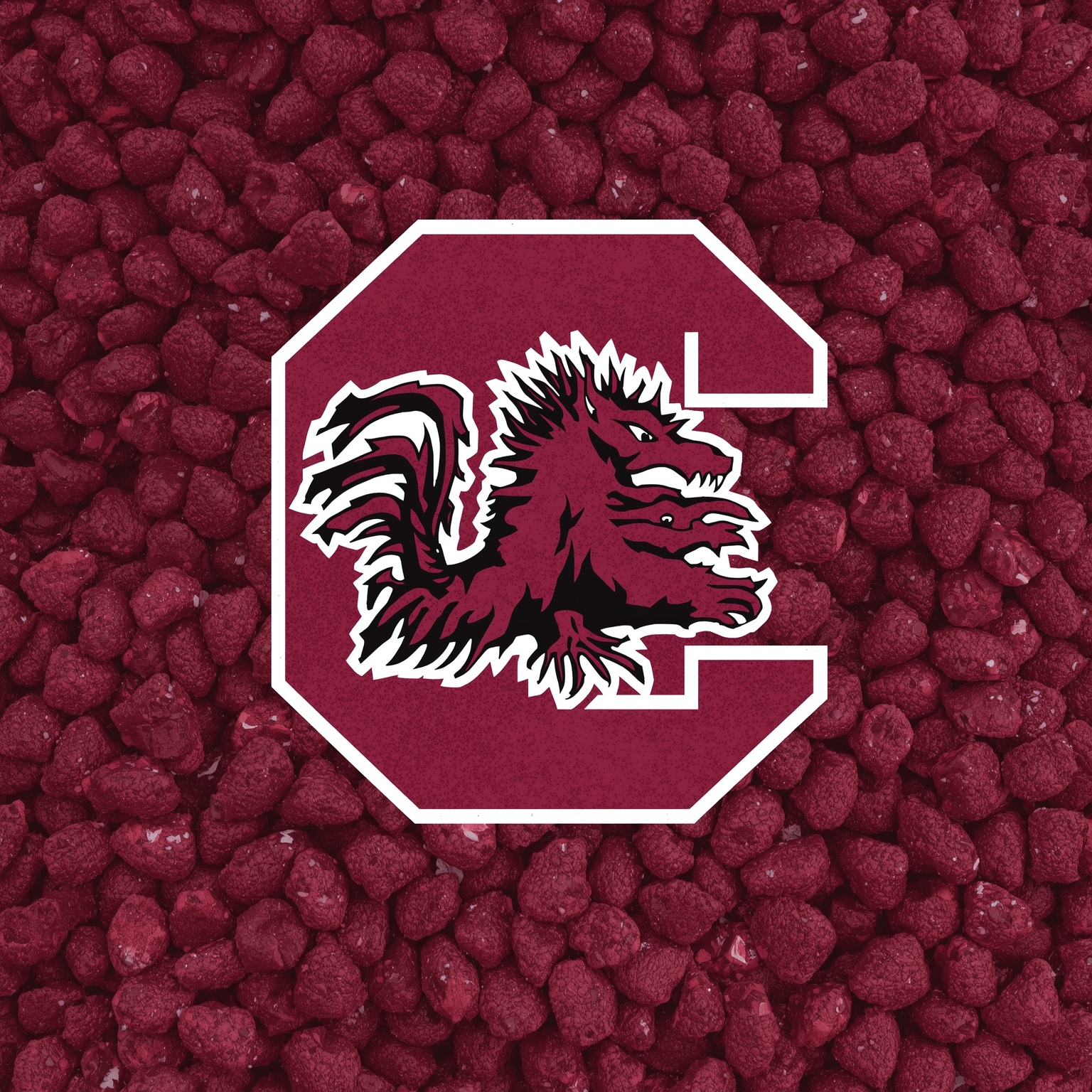 Gamecocks Shake-Up: OC Rumors and 2026 Kickoff - painting of South Carolina Gamecocks football venue
