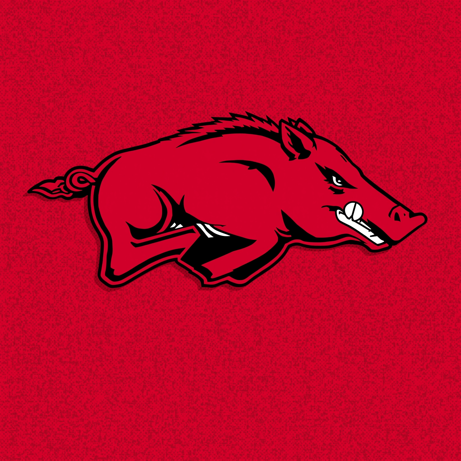 Arkansas Hires Veteran Defensive Coach and QB Expert - painting of Arkansas Razorbacks football venue