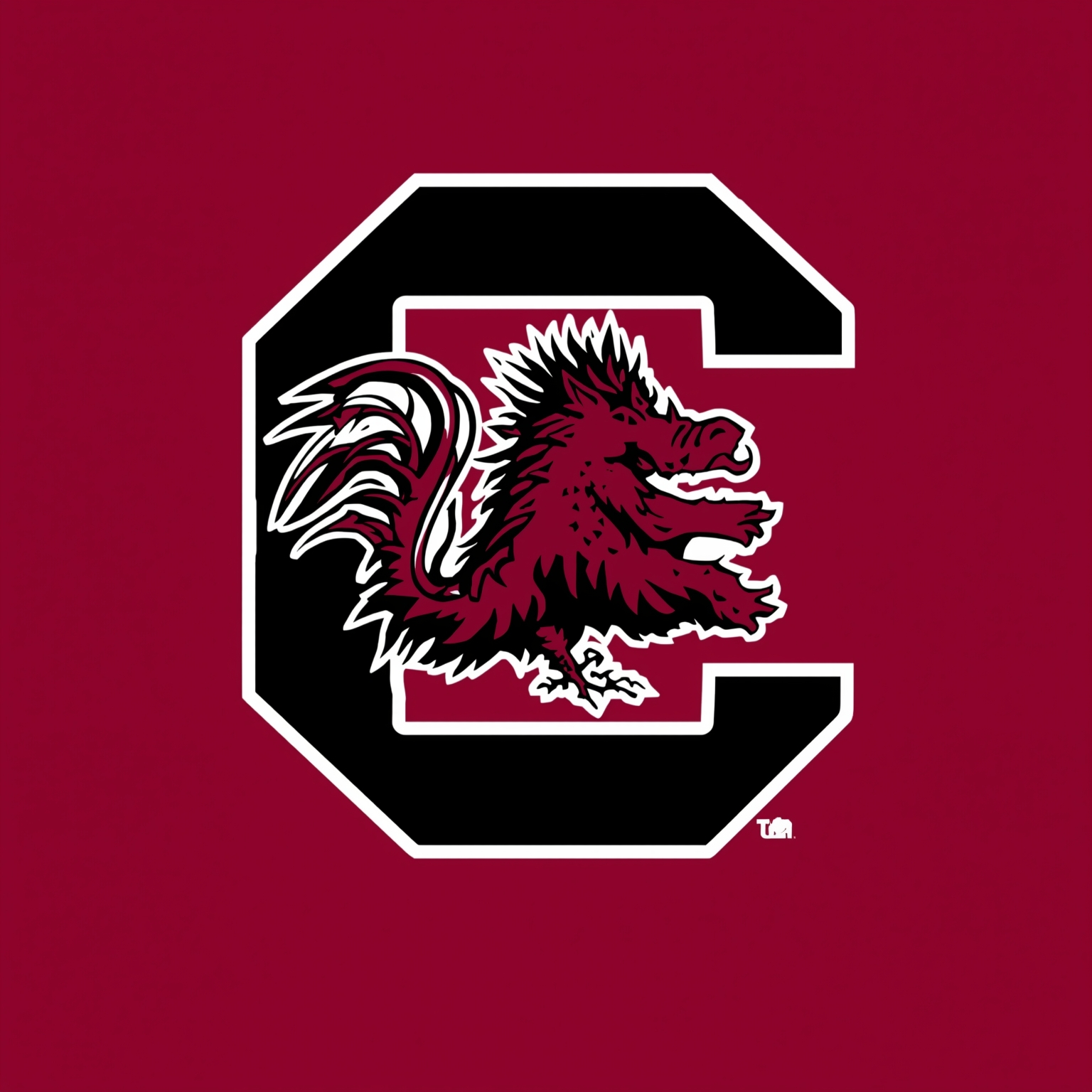 Gamecocks Land Albright, Get Harbor Back, Barnes’ Pitch - painting of South Carolina Gamecocks football venue