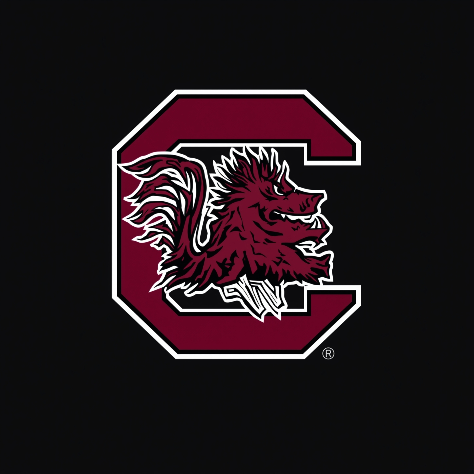 Gamecocks’ Exodus: Draft Dreams and Transfer Schemes - painting of South Carolina Gamecocks football venue