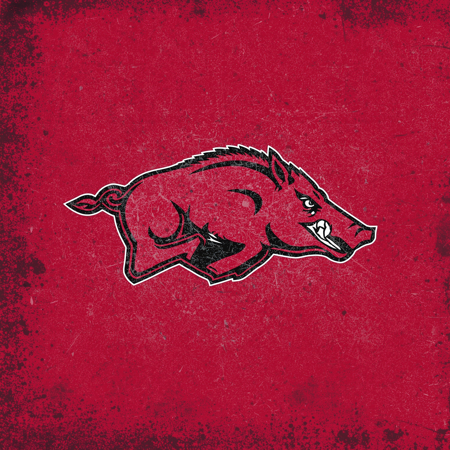 Arkansas Razorbacks: Transfer Frenzy and Court Heroes - painting of Arkansas Razorbacks football,basketball venue