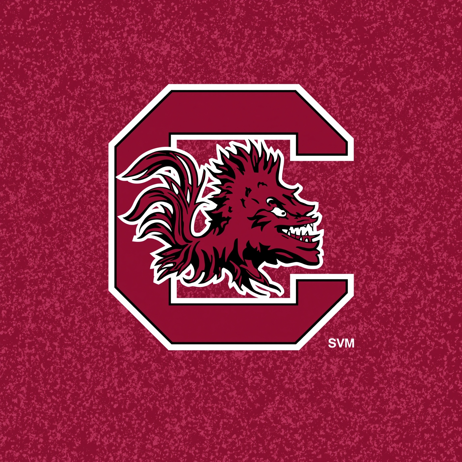 Gamecock Football: Coaches, Transfers & Returns - painting of South Carolina Gamecocks football venue