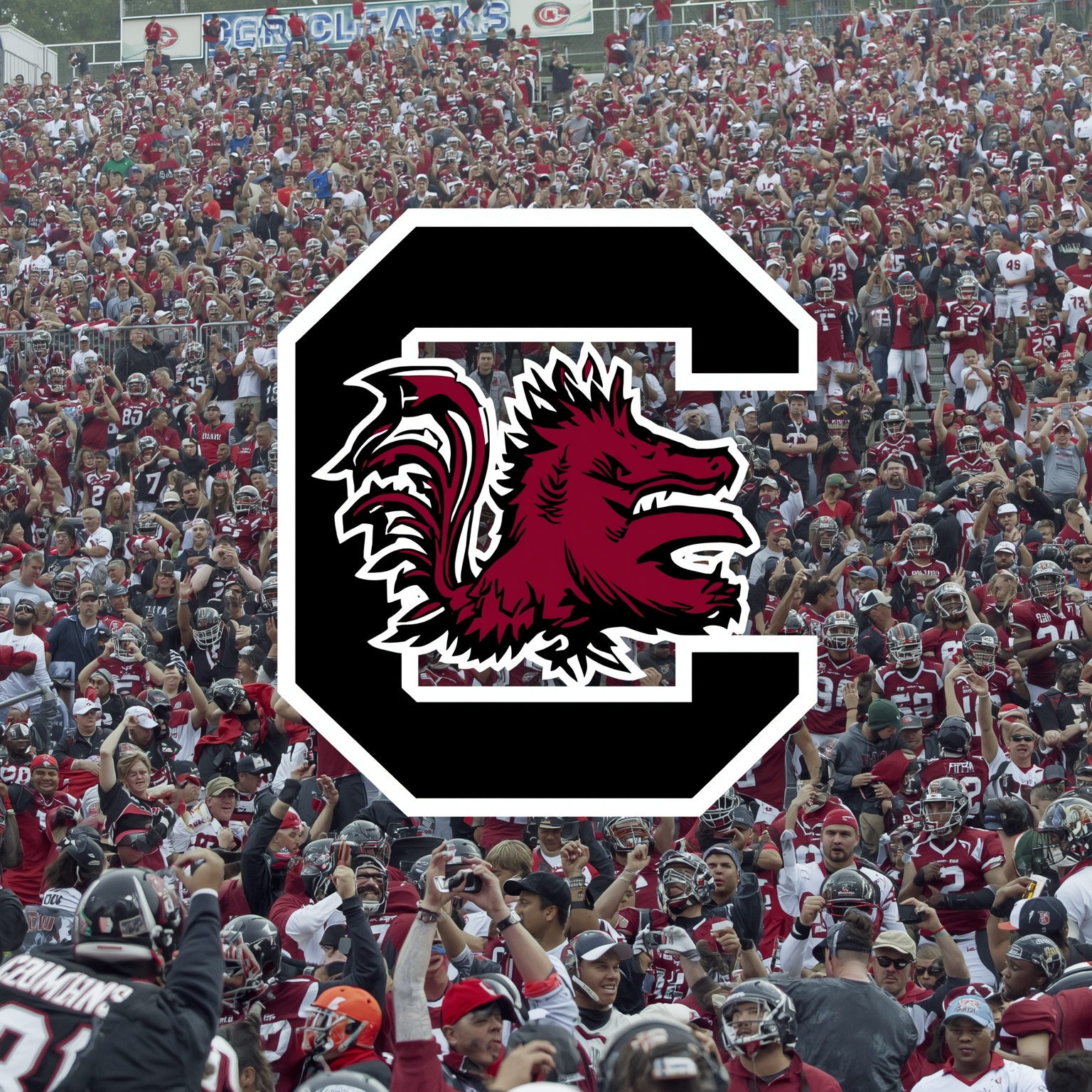 Gamecocks’ Roster Revolt: Portal Exits and New Commitments - painting of South Carolina Gamecocks football venue