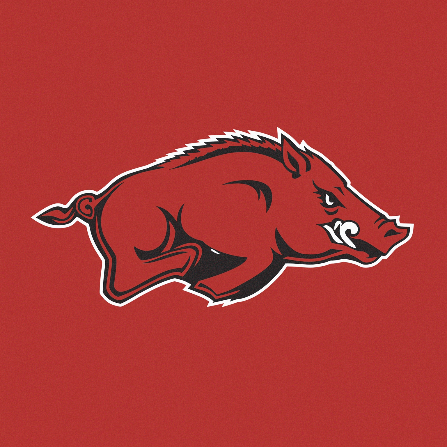 Razorbacks' Rough Ride: Schedules, Recruits & Statues - painting of Arkansas Razorbacks football,basketball venue