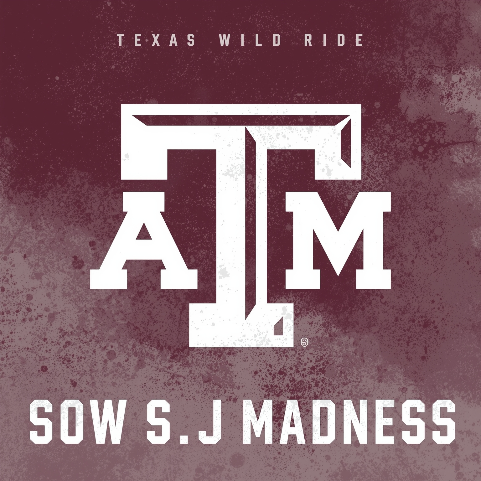 Aggies’ Wild Ride: SEC Setbacks to March Madness - painting of Texas A&M Aggies basketball, baseball venue