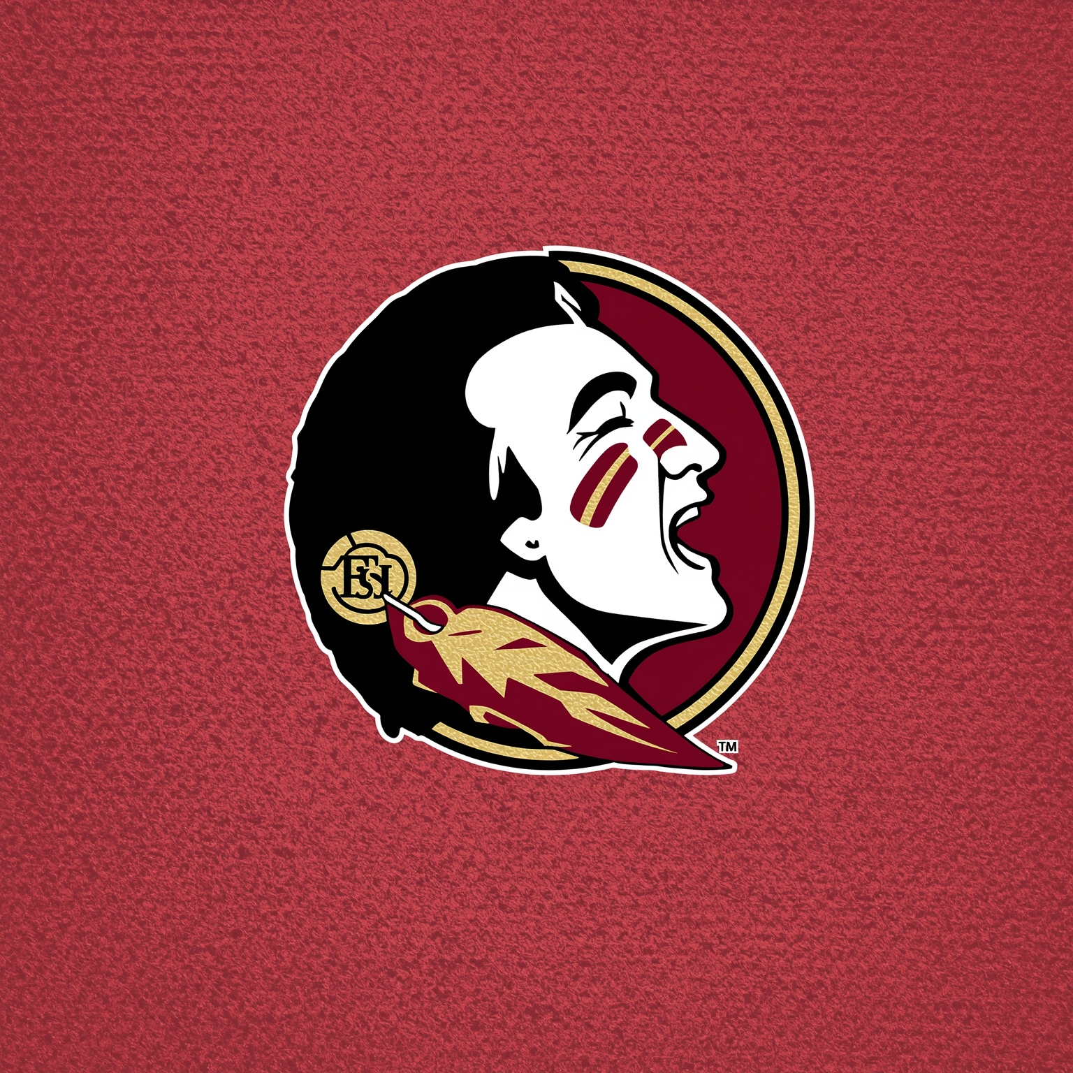 FSU’s Spring Hype and Tournament Ambition Unite Teams - painting of Florida State Seminoles football, basketball venue