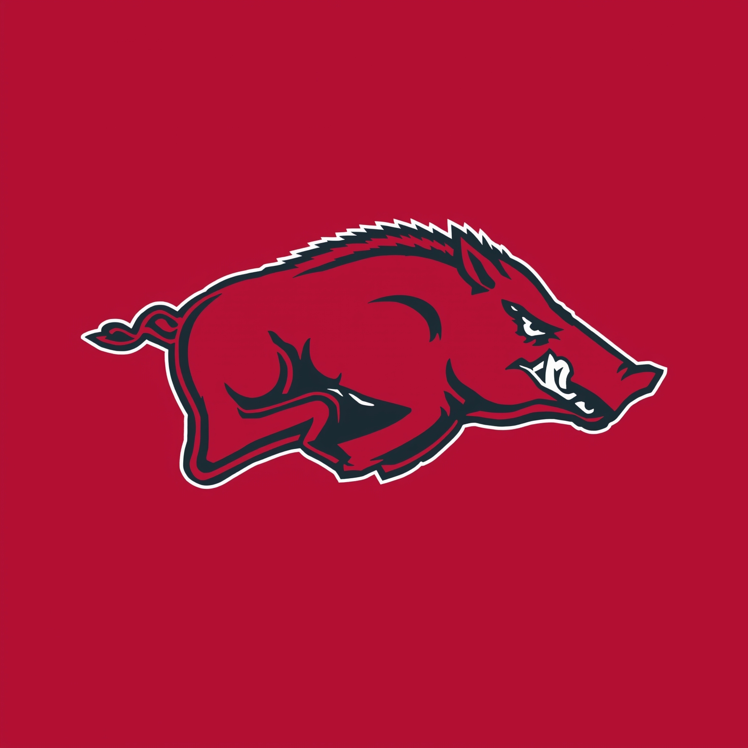 Arkansas Sports: Hogs’ Highs, Lows, and Draft Dreams - painting of Arkansas Razorbacks baseball,basketball venue