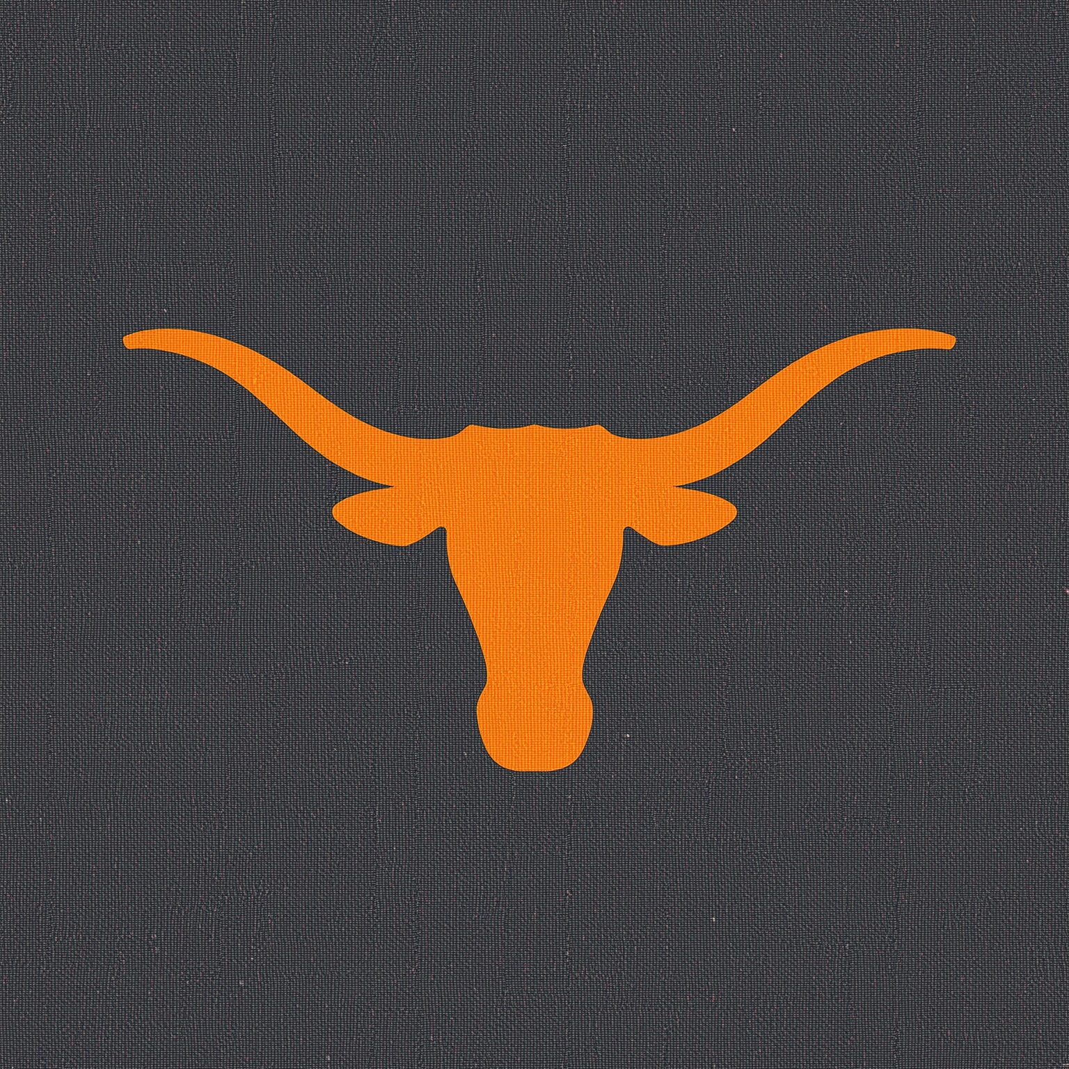 Longhorns Insider: Duos, Depth, Rookies & Rainouts - painting of Texas Longhorns baseball,football venue