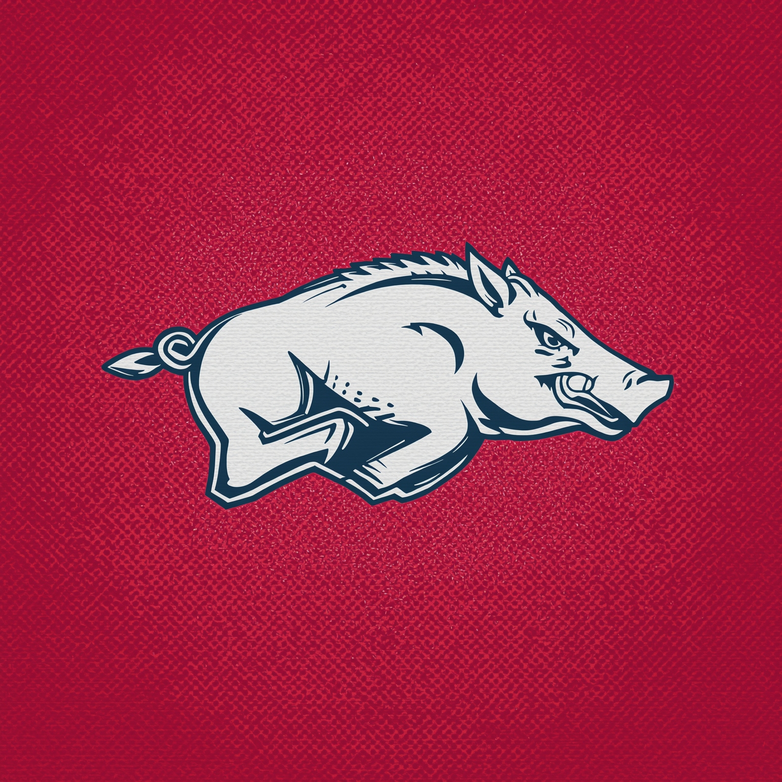 Razorbacks' Spring Shakeup: Fresh Dogs, QB Buzz & NBA Exit - painting of Arkansas Razorbacks football,basketball venue