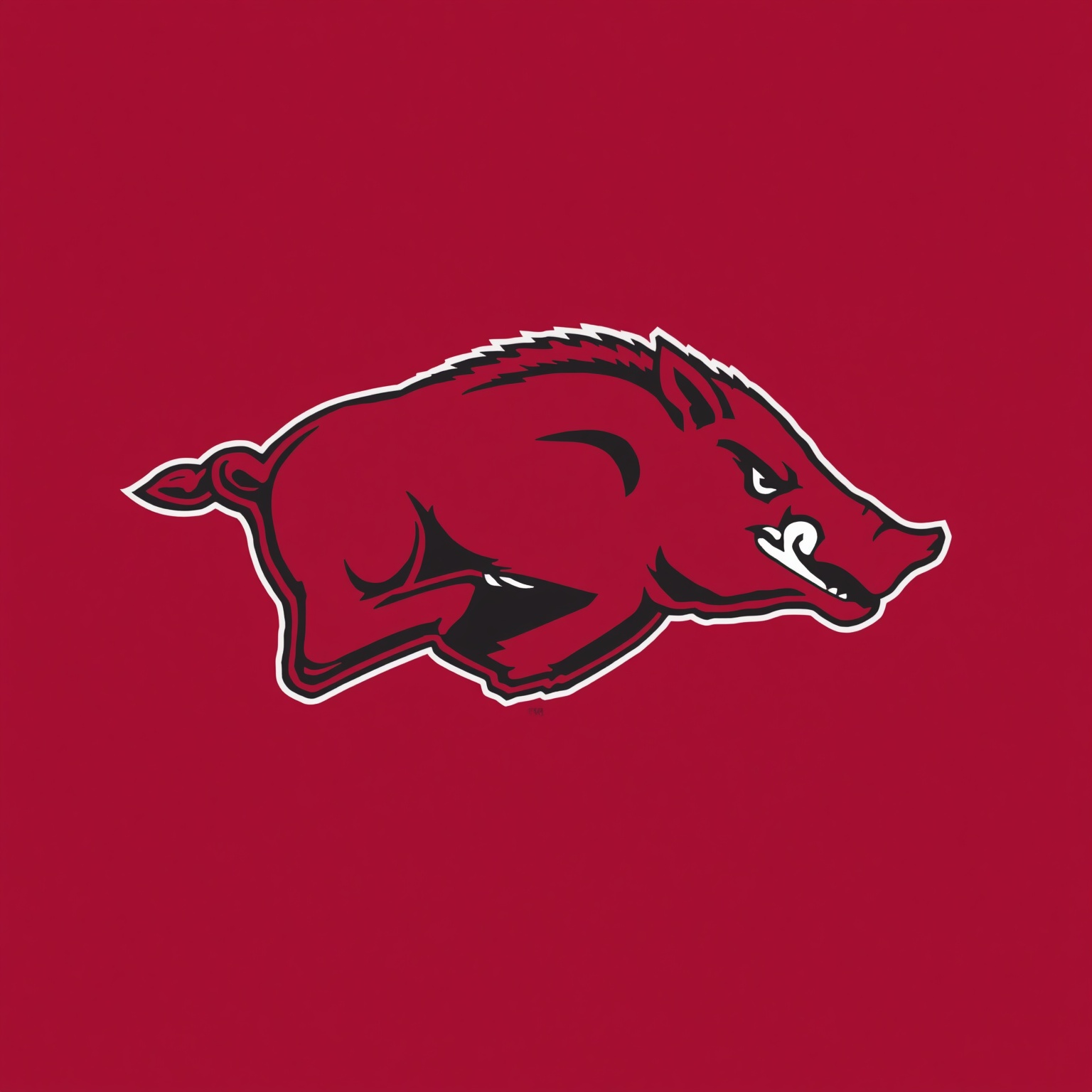 Arkansas Hogs: QB Legends, NBA Prospects & Pitching Woes - painting of Arkansas Razorbacks football,basketball,baseball venue
