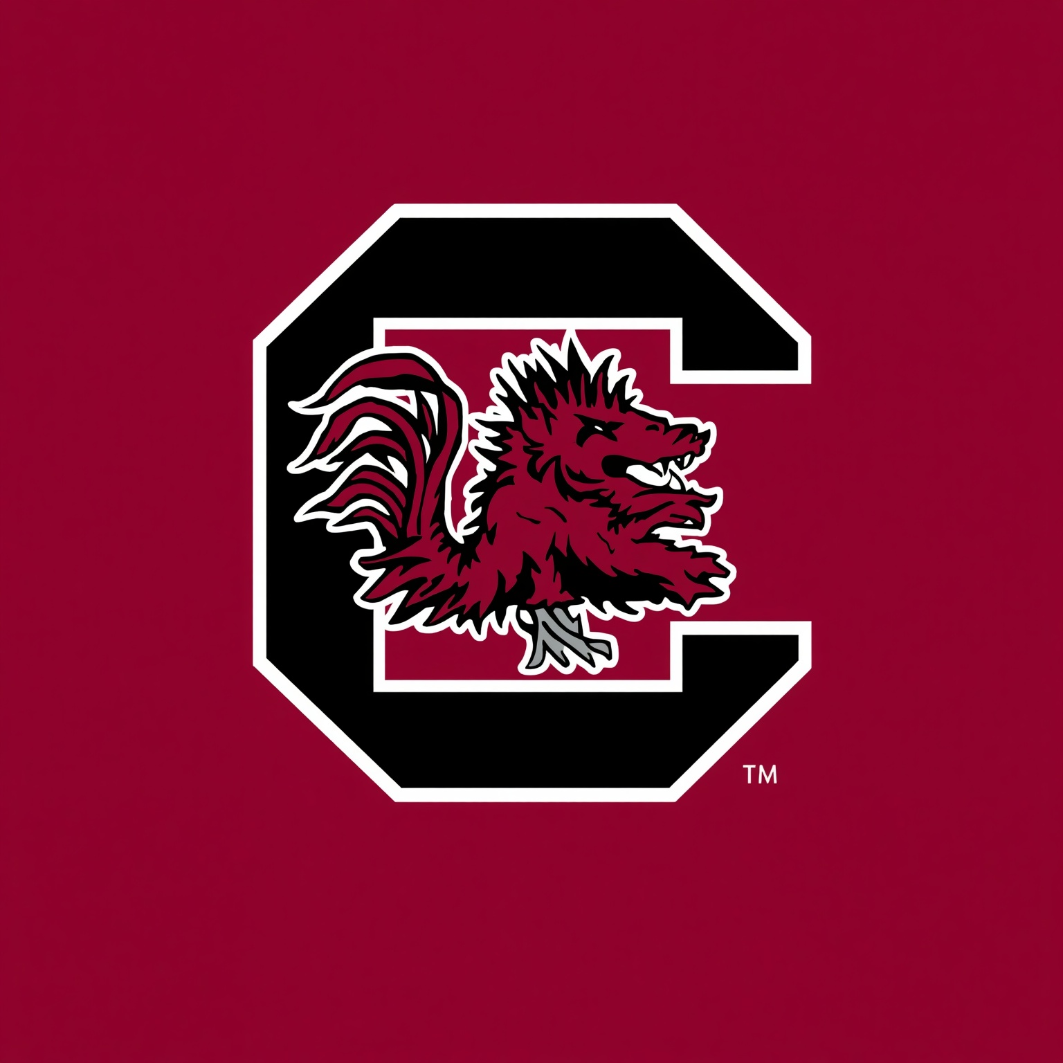 South Carolina’s Season-Defining Football Showdowns - painting of South Carolina Gamecocks football venue