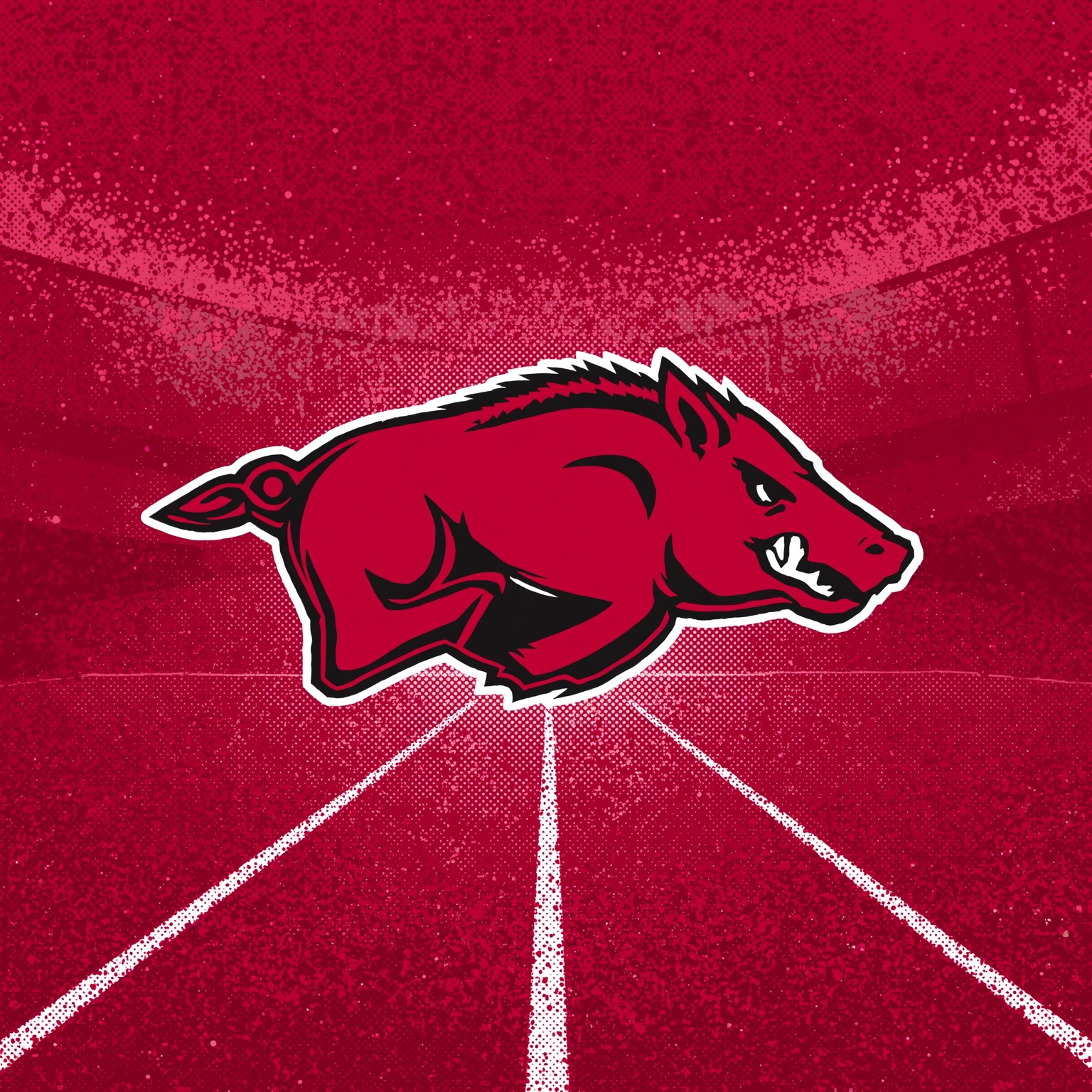 Razorbacks’ NBA Pipeline and Football Makeover - painting of Arkansas Razorbacks football,basketball venue