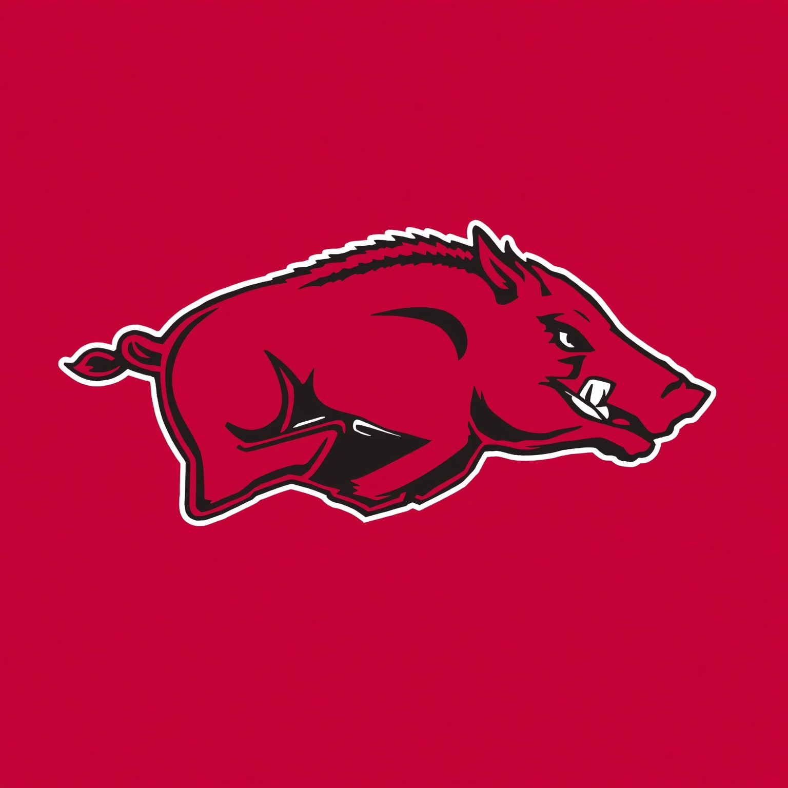 From Razorback Woes to NBA Showdowns - painting of Arkansas Razorbacks basketball,football venue