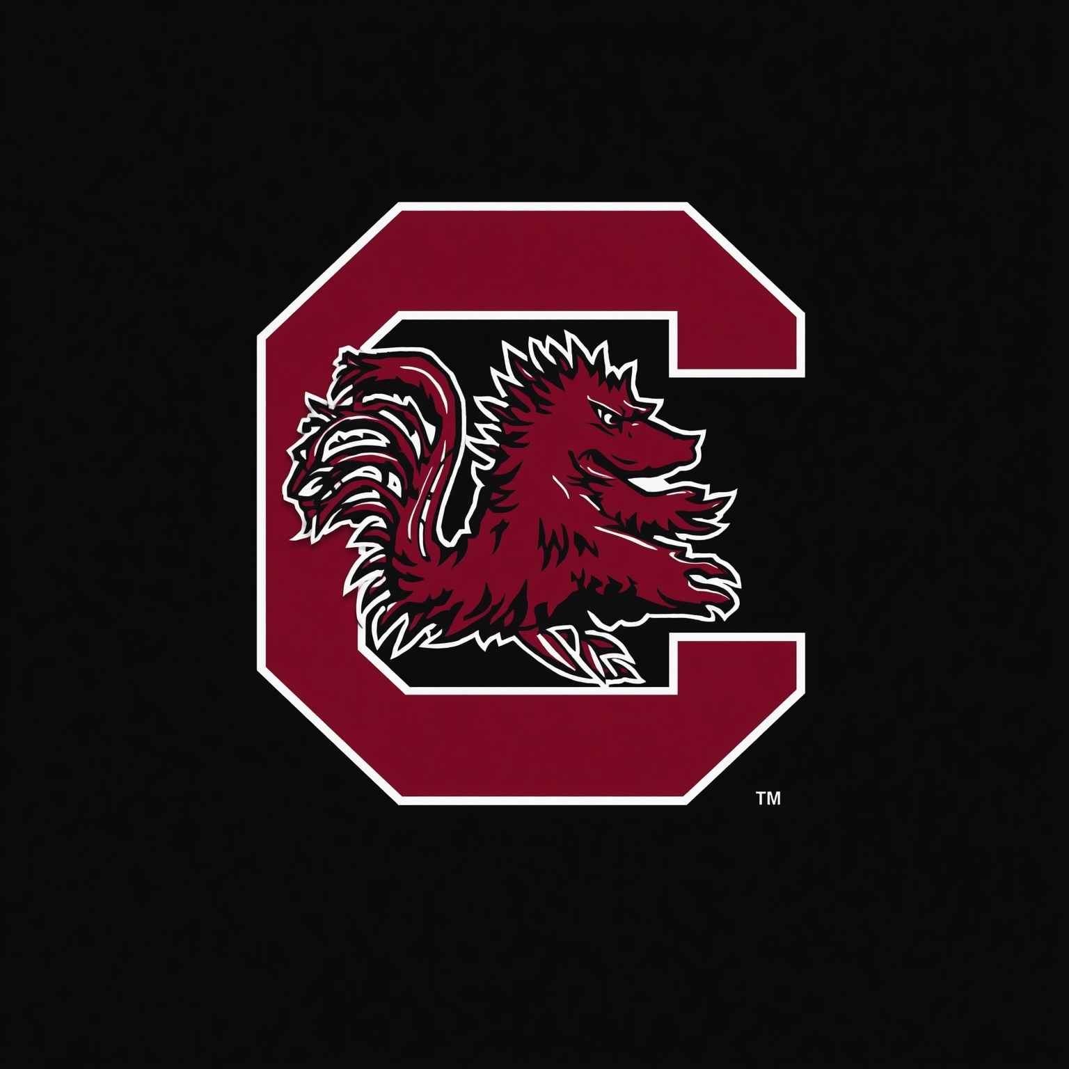 Gamecocks’ 2027 Class: Five Impact Recruits Ready - painting of South Carolina Gamecocks football venue