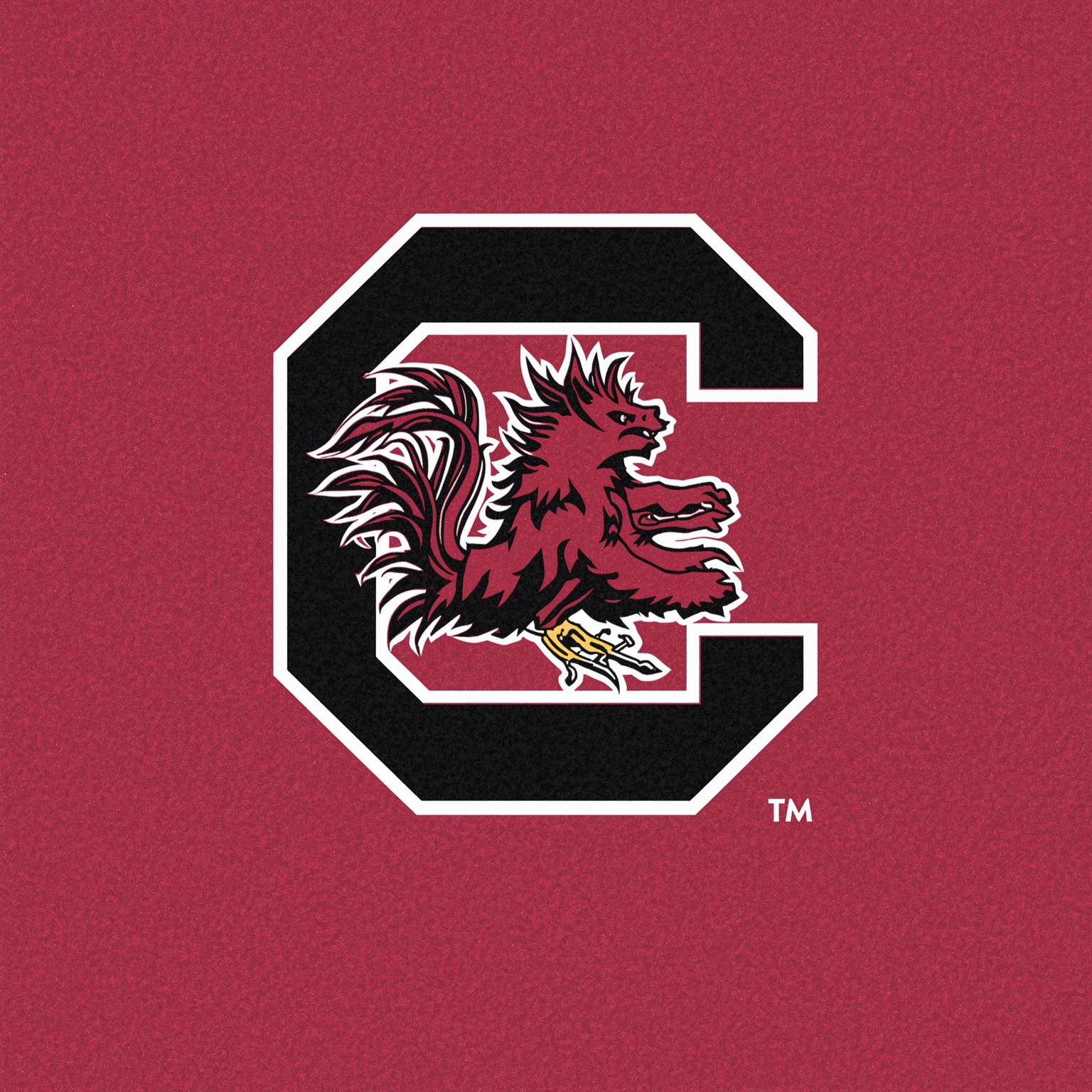 Gamecocks Embrace $75M Nike Partnership - painting of South Carolina Gamecocks (none) venue